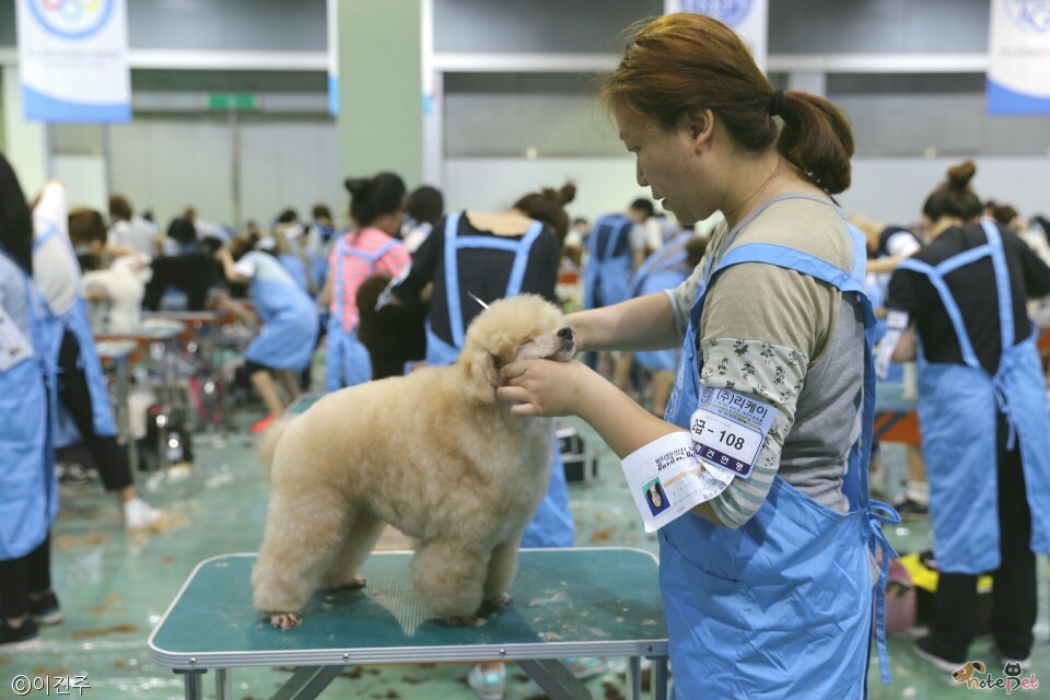 노트펫