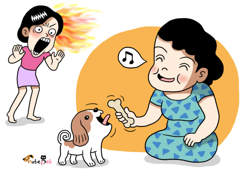 노트펫