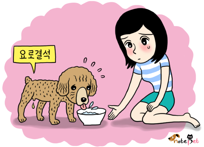 노트펫