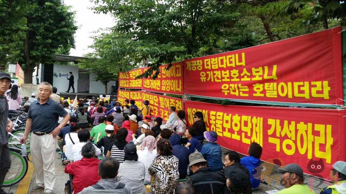 노트펫