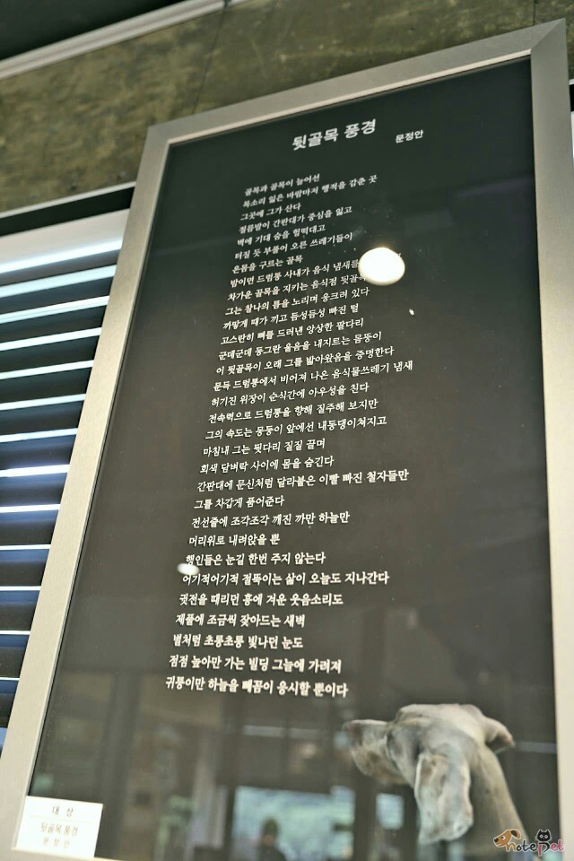 노트펫