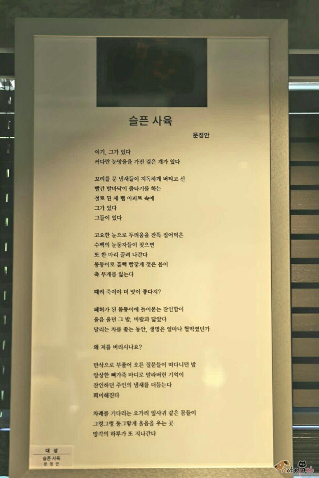 노트펫