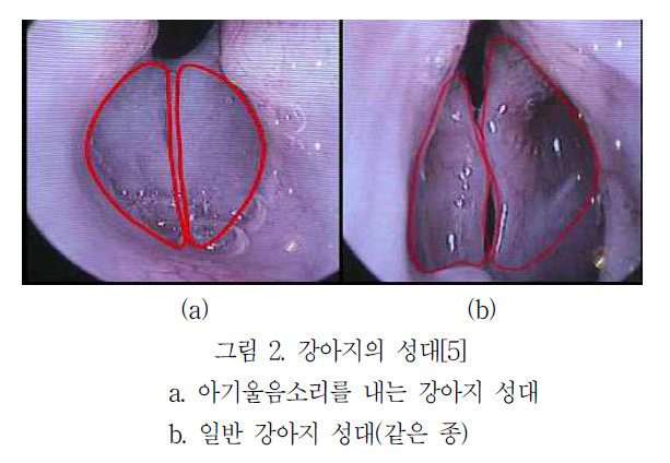 노트펫