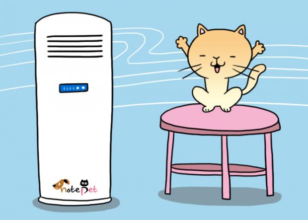 노트펫