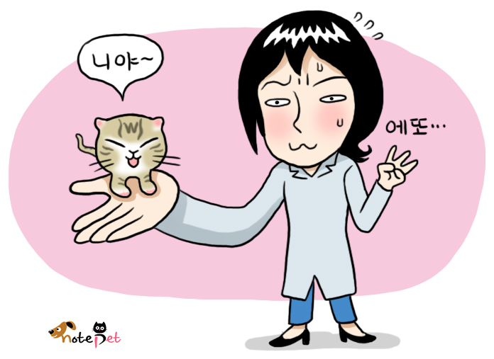 노트펫