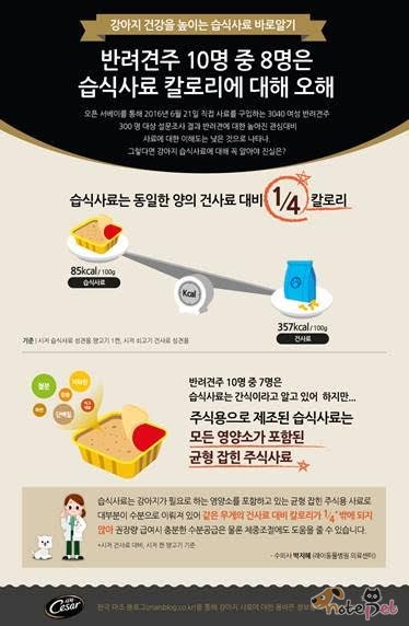 노트펫