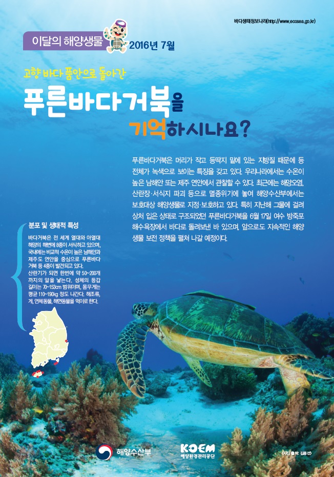 노트펫