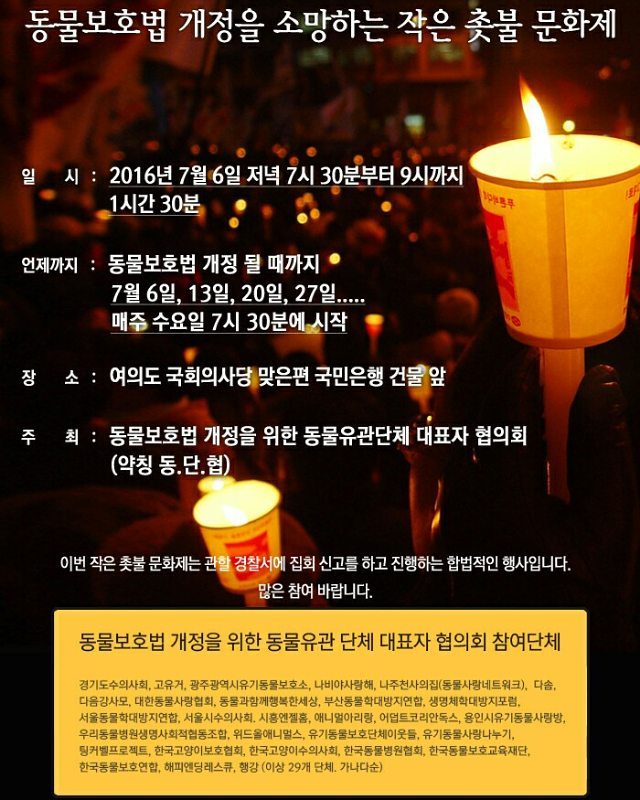 노트펫