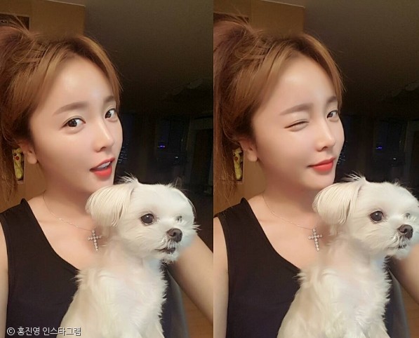 노트펫