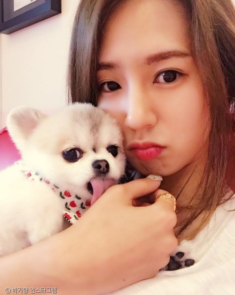 노트펫
