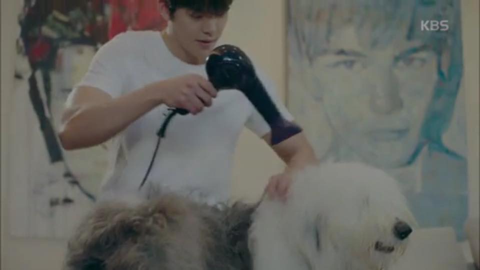 노트펫