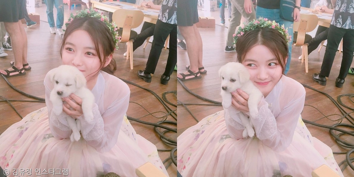 노트펫