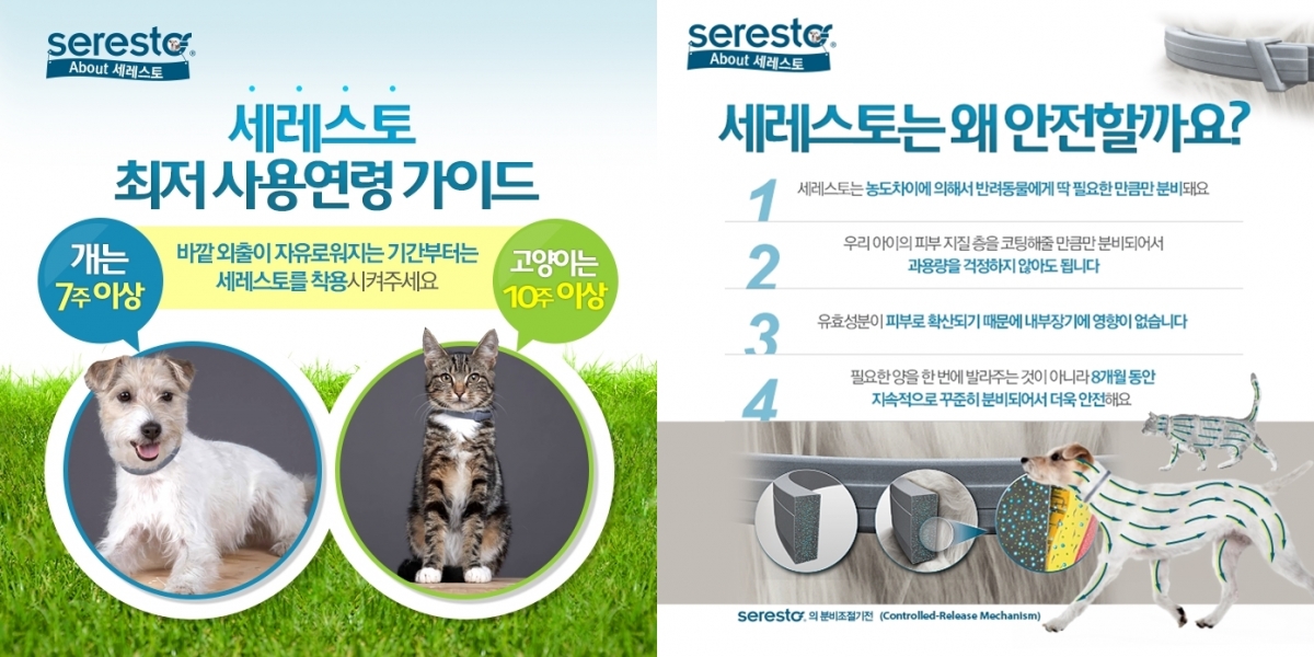 노트펫