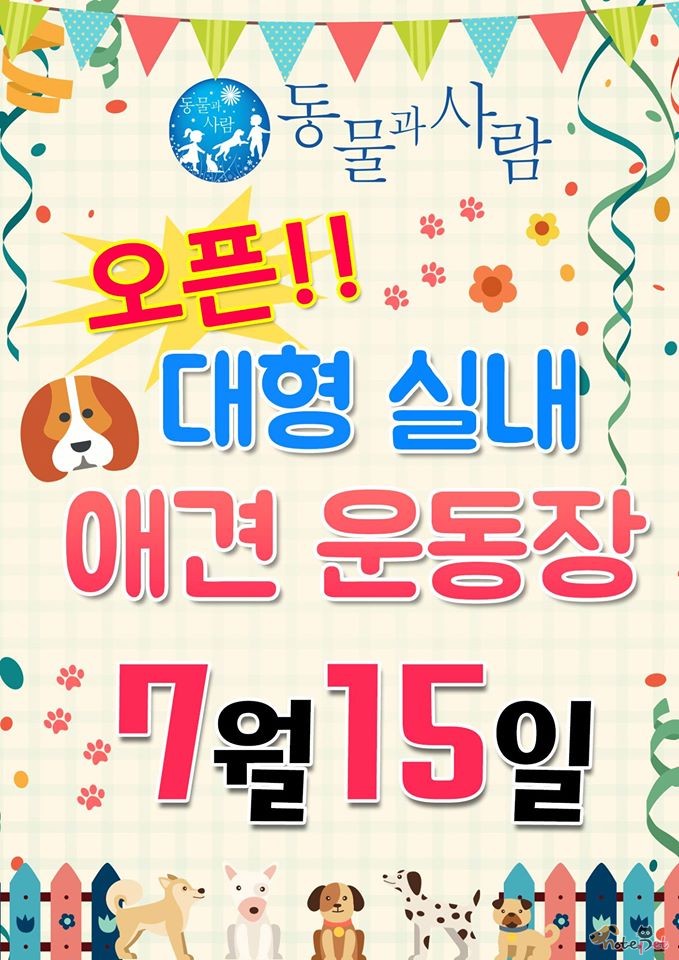 노트펫