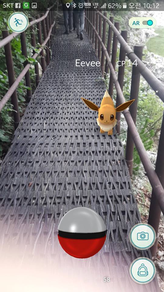 노트펫