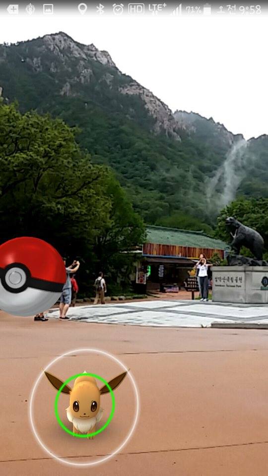 노트펫