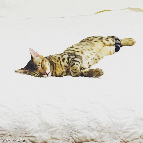 준호산업 이미지