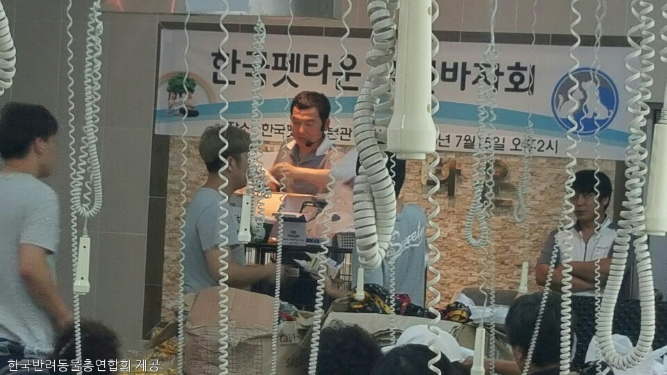 노트펫