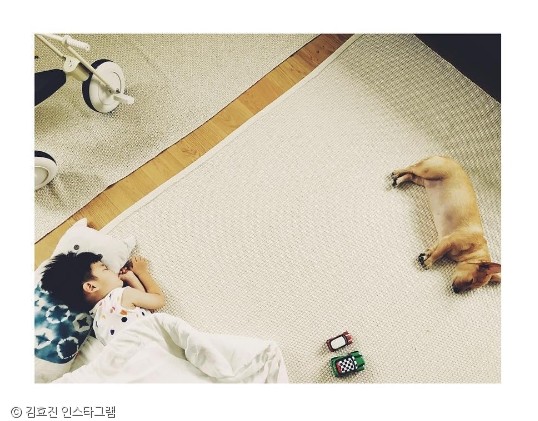 노트펫