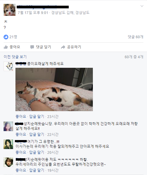 노트펫