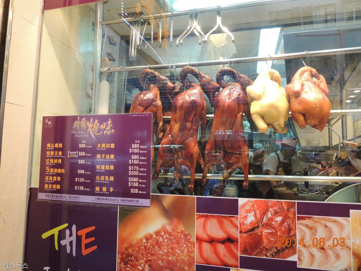 노트펫