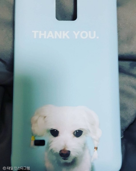 노트펫