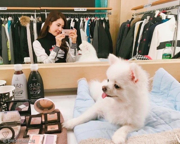 노트펫