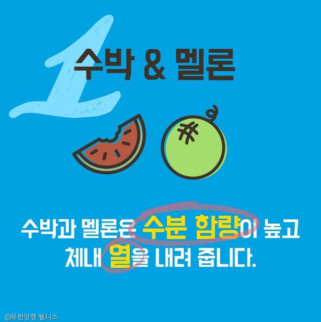 노트펫