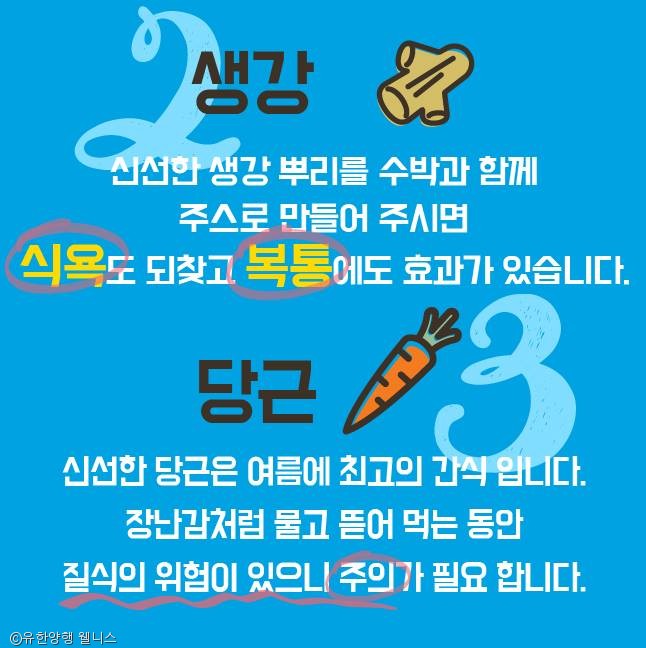 노트펫