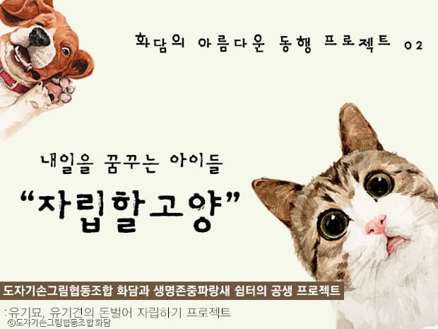 노트펫