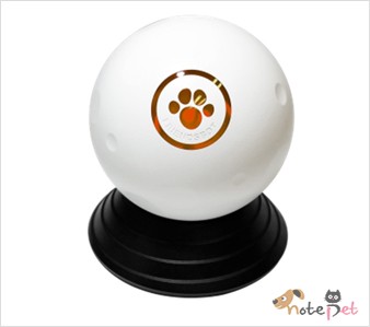 노트펫
