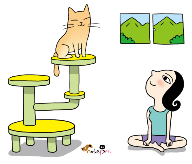 노트펫