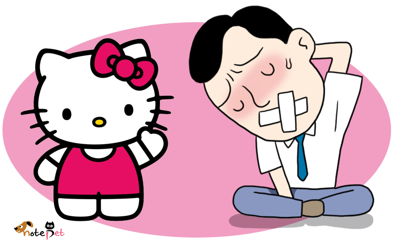 노트펫