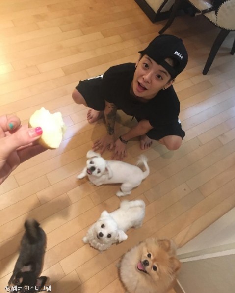 노트펫