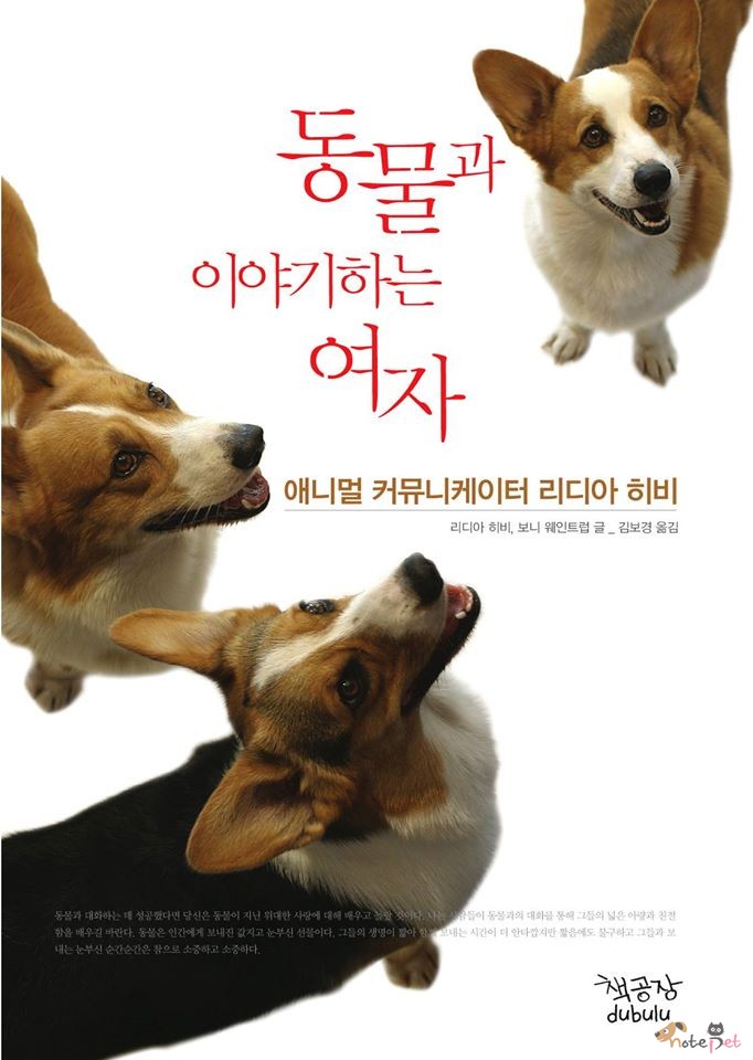 노트펫