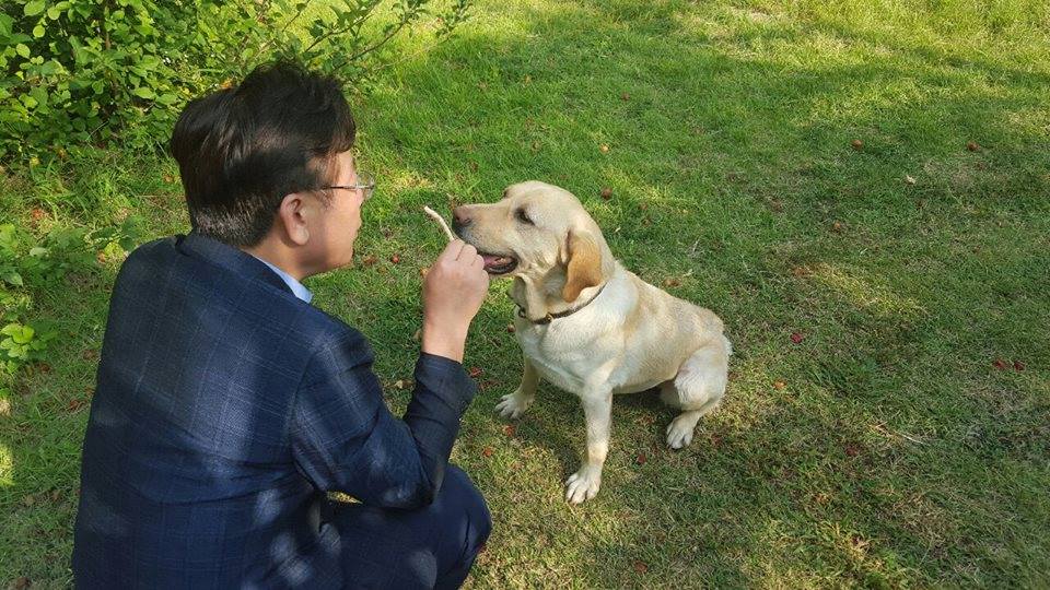 노트펫