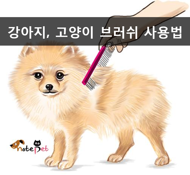 노트펫