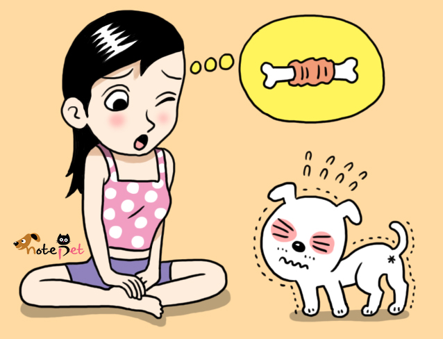 노트펫