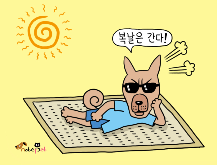 노트펫