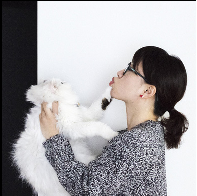 노트펫