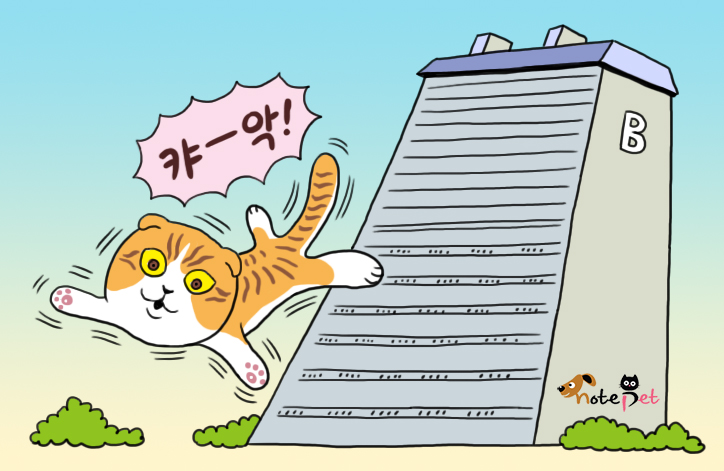 노트펫