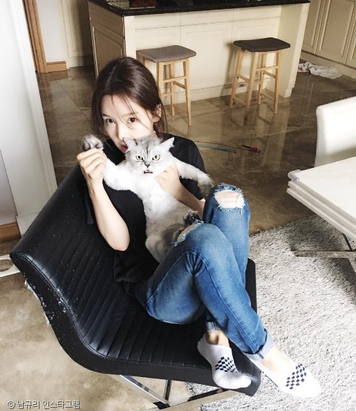 노트펫