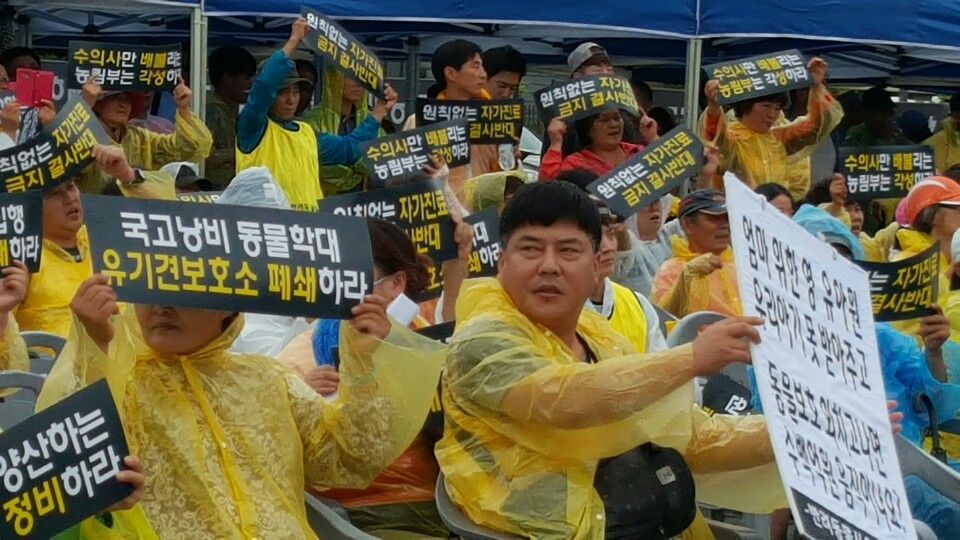 노트펫