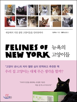 노트펫
