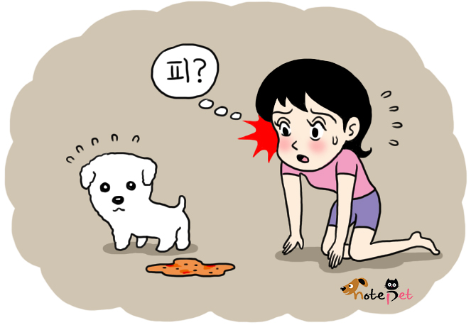 노트펫