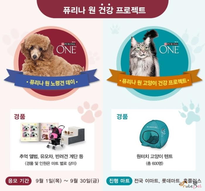 노트펫