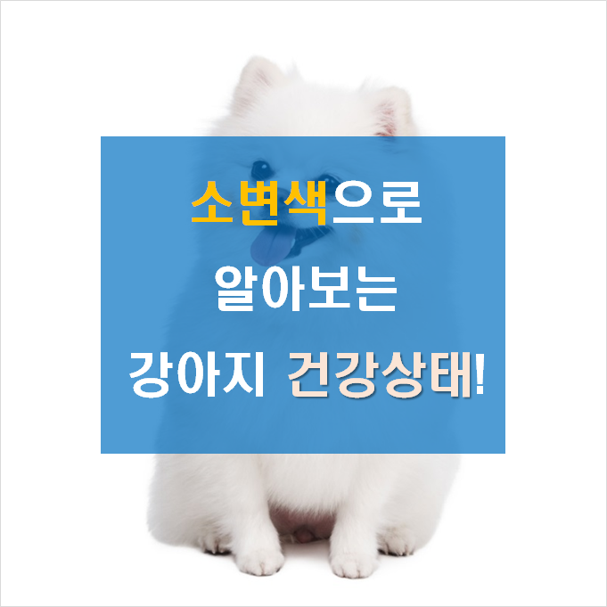 노트펫
