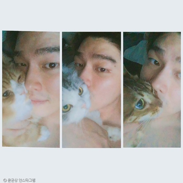 노트펫
