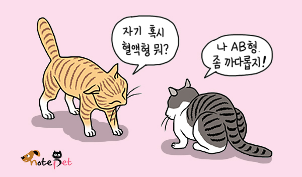 노트펫