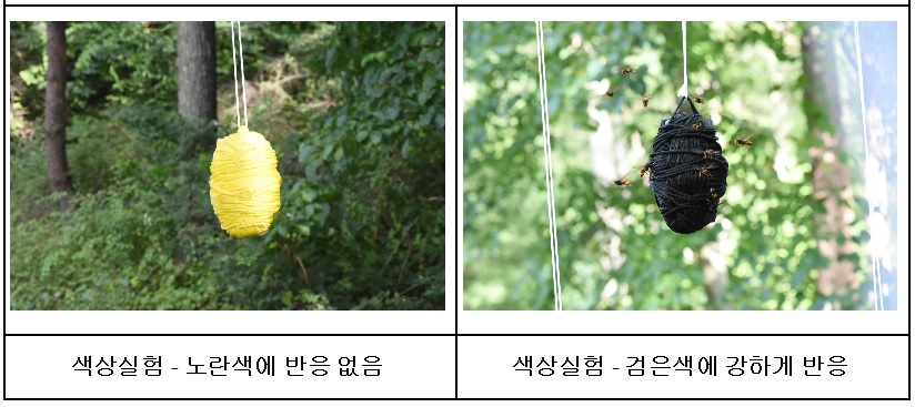 노트펫